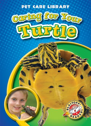 Caring for your turtle 