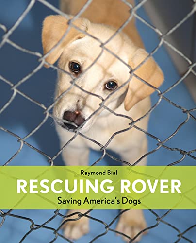 Rescuing Rover  : saving America's dogs /
