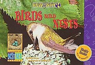Birds build nests 