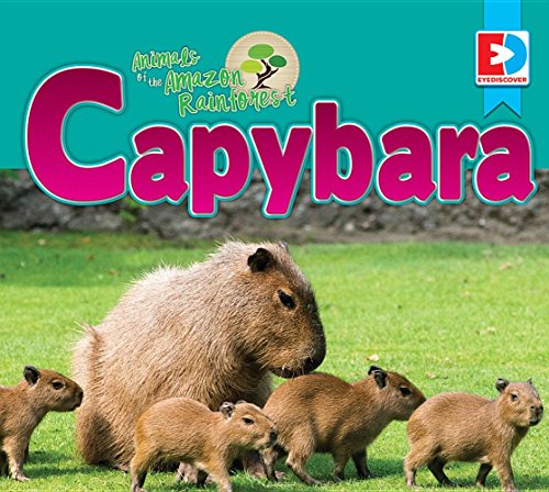 Capybara 