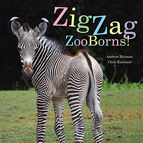 Zigzag zooborns!  : zoo baby colors and patterns /