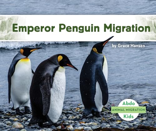 Emperor penguin migration 