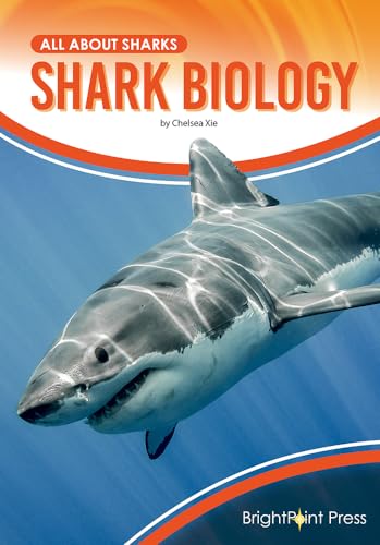 Shark biology 